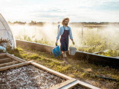 Wastewater Nutrient Recovery for Farming Farmer watering crops