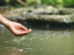 172 Million Americans Are Exposed to ‘Forever Chemicals’. Here’s What To Know About New EPA Data