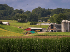 The EPA’s $30.7M PFAS Lifeline for Rural Water Systems