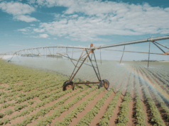 The Overwhelming Struggles Small Water Systems Face and How To Solve Them